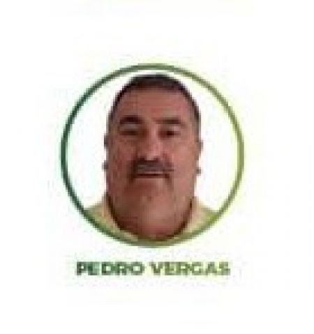 Pedro Vergas